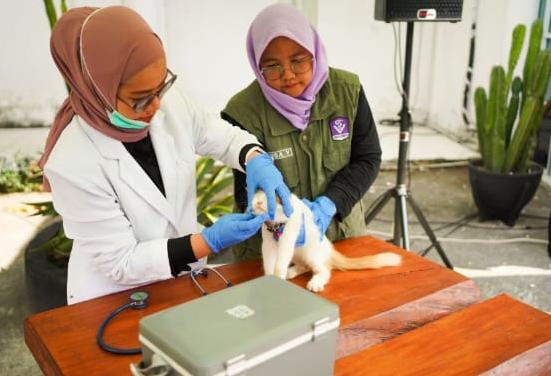 11 Daerah di Riau Masih Tertular Rabies, Tujuh Warga Meninggal dalam Lima Tahun Terakhir